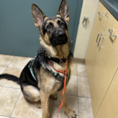 Photo for 161228 [Bonneville]