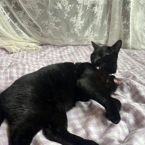 Photo for 161234 [Slayer]