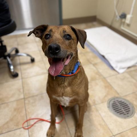 Photo for 161263 [Jack]