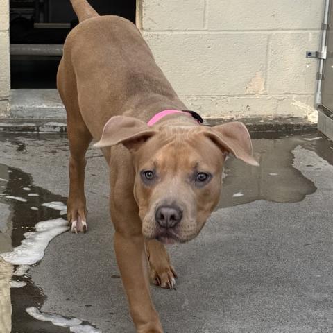 Photo for 161290 [Martin]