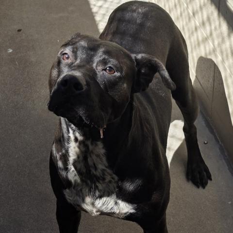 Photo for 161303 [Odin]