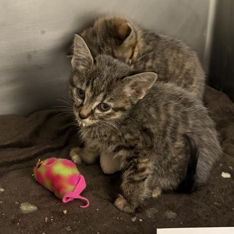 Photo for 161314 [390533]