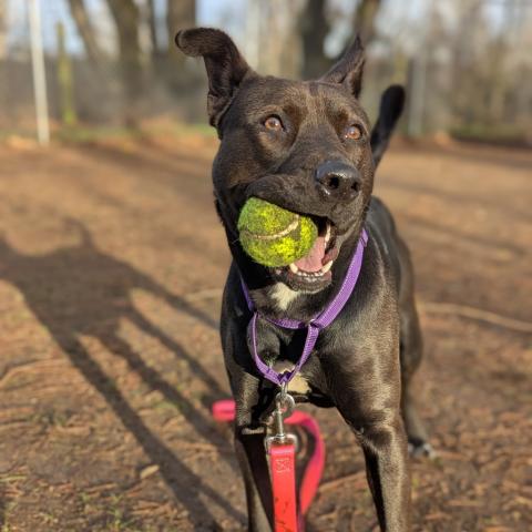 Photo for 161400 [Bette Davis]