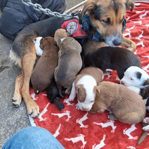 Photo for 161408 [Phelony]