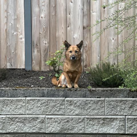 Photo for 161410 [Bear Ramsower]