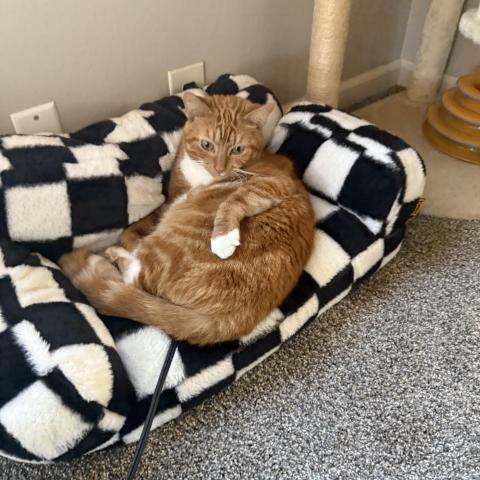 Photo for 161414 [Earl]