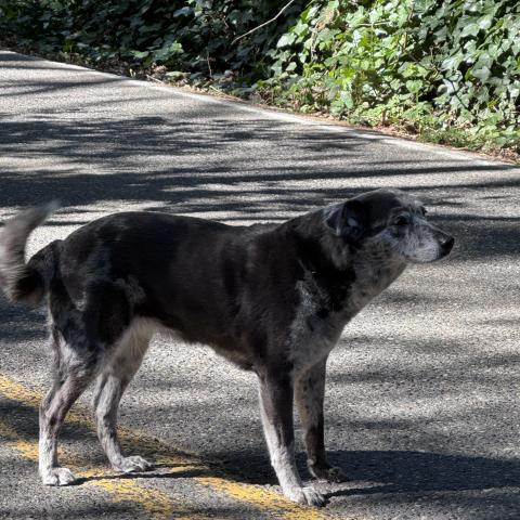 Photo for 161420 [fr161420]