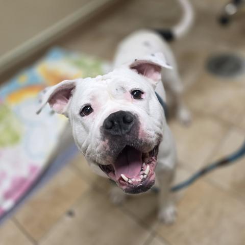 Photo for 161435 [Suzy Q]