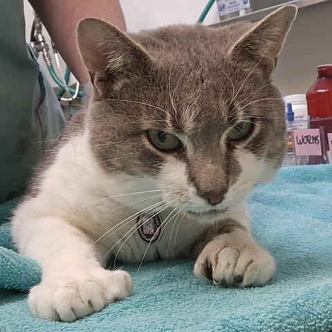 Photo for 161439 [Bones]