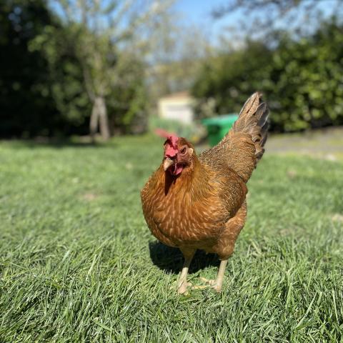 Photo for 161466 [Ginny]