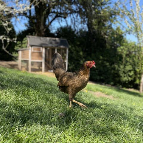 Photo for 161468 [Hermione]