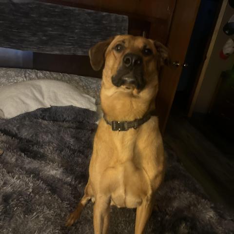 Photo for 161470 [Miller]