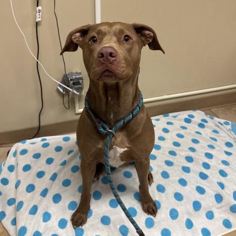 Photo for 161489 [Coco]