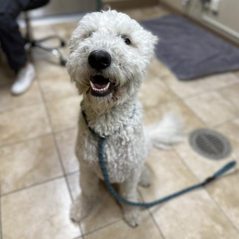 Photo for 161495 [Chloe]