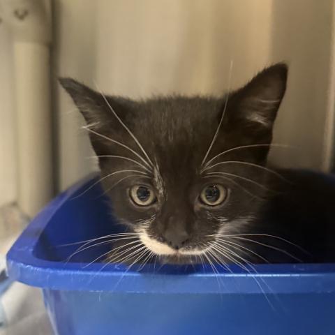 Photo for 161502 [390848]