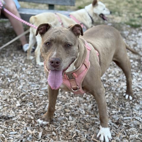 Photo for 161504 [Leela ]