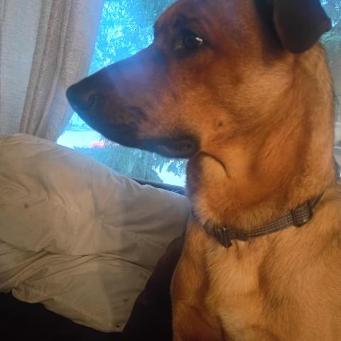 Photo for 161506 [fr161506]