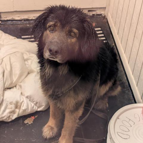 Photo for 161512 [Unknown]