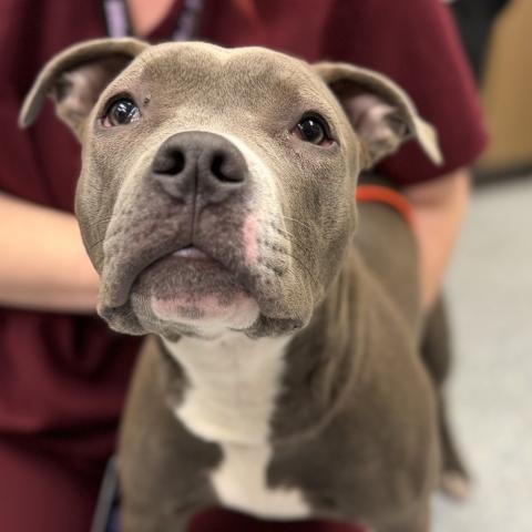 Photo for 161544 [Cj]