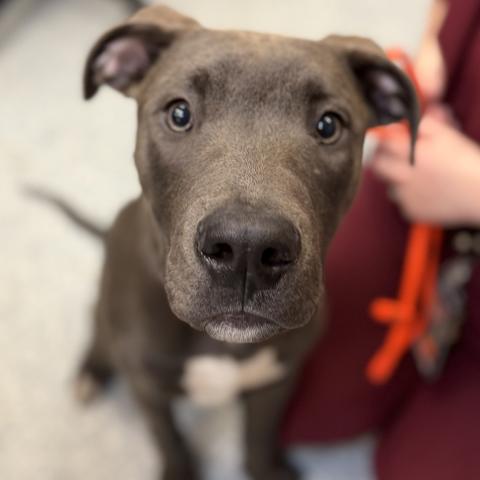 Photo for 161546 [Bj]