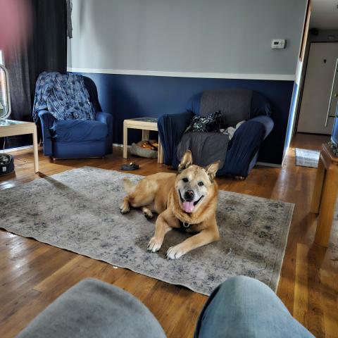 Photo for 161568 [Malikii]