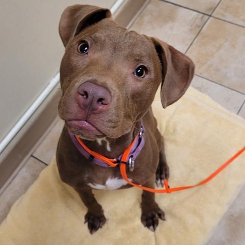 Photo for 161597 [Little Foot]