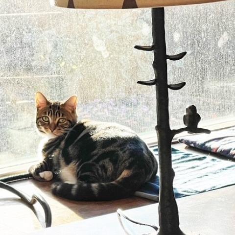 Photo for 161616 [Maggie]