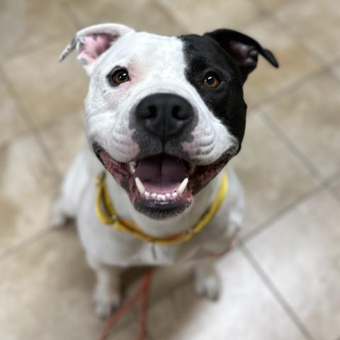 Photo for 161636 [Kirt]