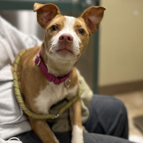 Photo for 161686 [Rebecca]