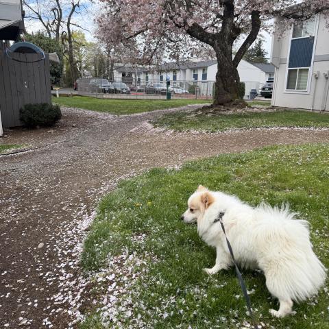 Photo for 161719 [Jinu]