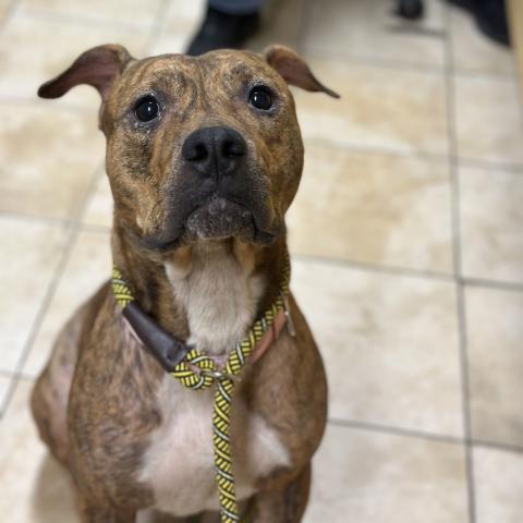 Photo for 161753 [Edeline]