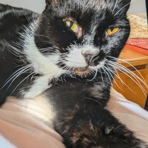 Photo for 161761 [Prince]