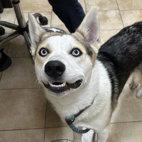 Photo for 161877 [Hyundai]