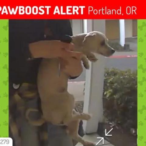 Photo for 161908 [Tessa]