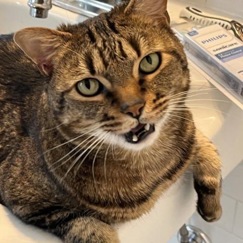 Photo for 161910 [Thane]