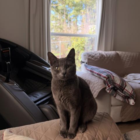 Photo for 161914 [Misa]