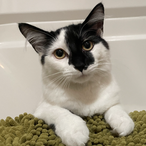 Photo for 161918 [Brennan]