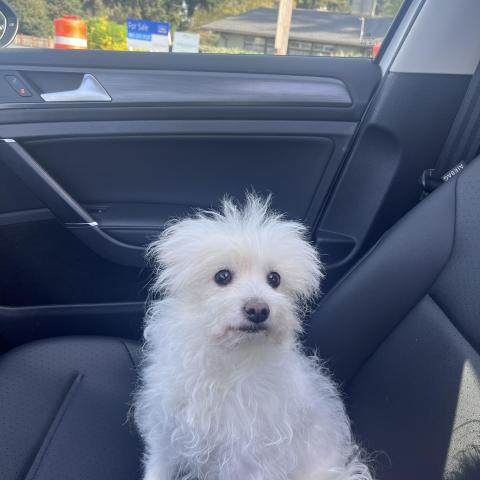 Photo for 161924 [fr161924]