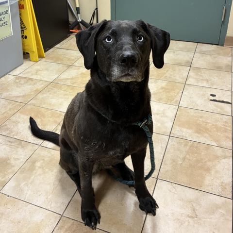 Photo for 161936 [Bella]