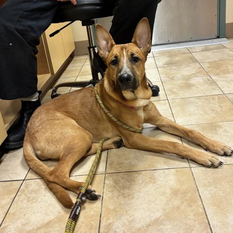 Photo for 161944 [Isla]