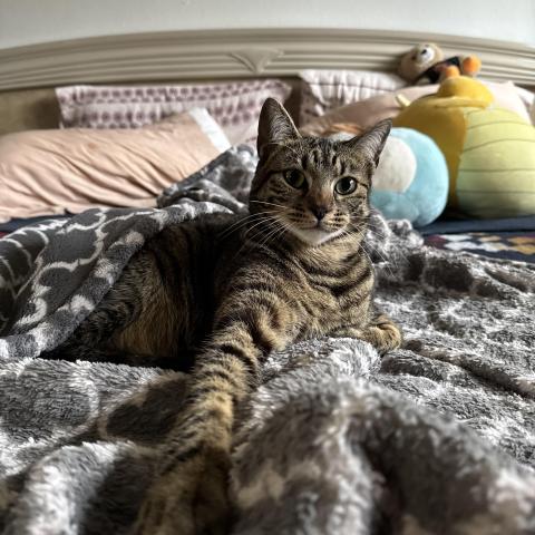 Photo for 161954 [Zola]