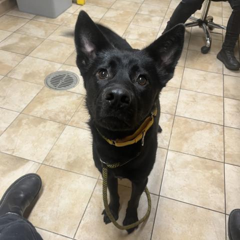 Photo for 161973 [Taco]