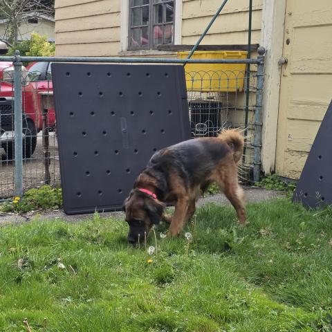 Photo for 161989 [fr161989]