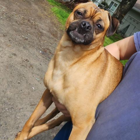 Photo for 161991 [Unknown ]