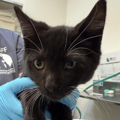 Photo for 162004 [Sailor]