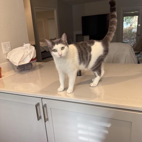 Photo for 162008 [Rosie]