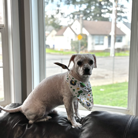 Photo for 162026 [Dolfy]