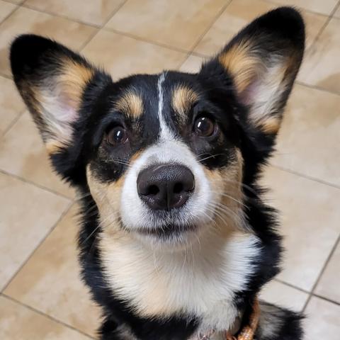 Photo for 162061 [Jelly]