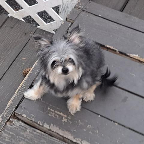 Photo for 162065 [Profit]