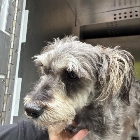 Photo for 162070 [391647]